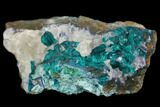 Dioptase, Shattuckite & Calcite Association - Tantara Mine, Congo #146737-1